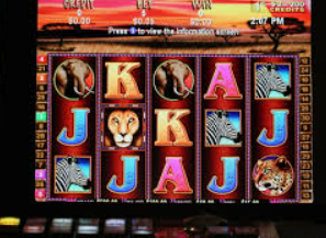 k·yun新网站登录下载app最新版